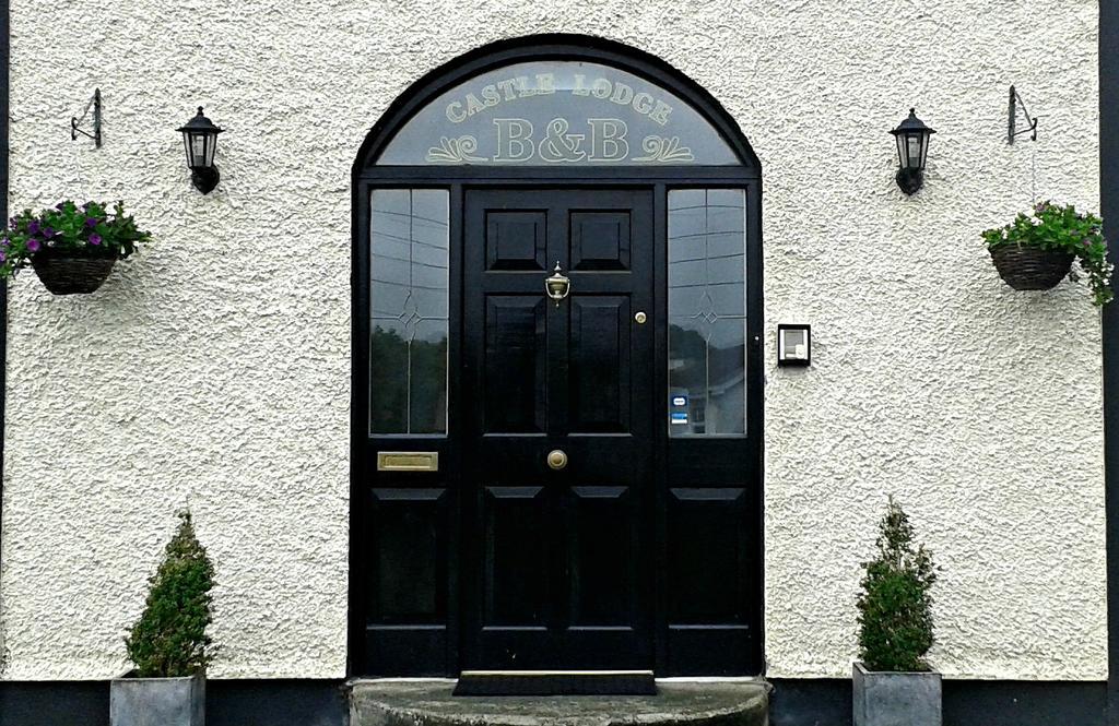 Castle Lodge B&B Kilkenny Zimmer foto